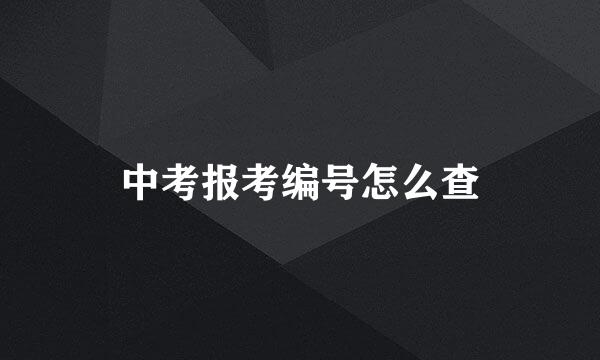 中考报考编号怎么查