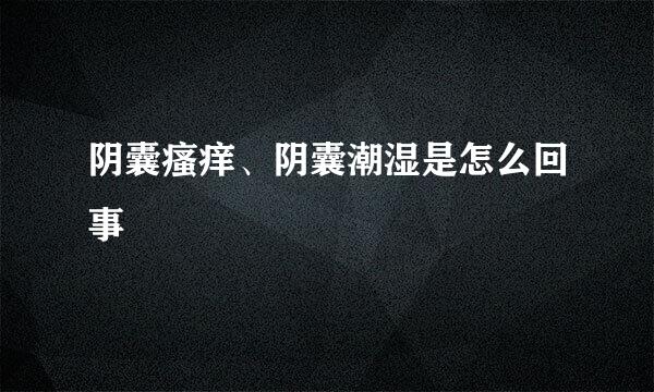 阴囊瘙痒、阴囊潮湿是怎么回事