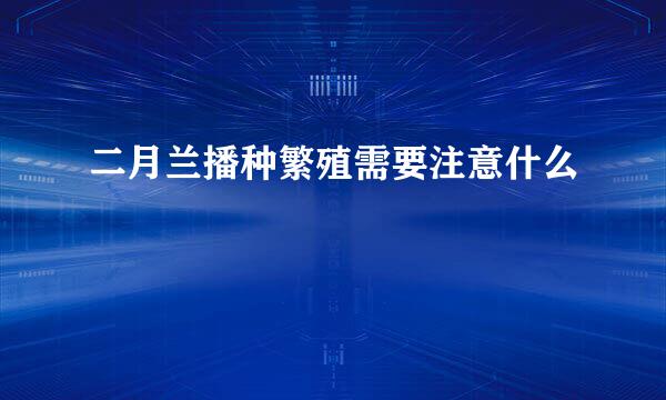 二月兰播种繁殖需要注意什么