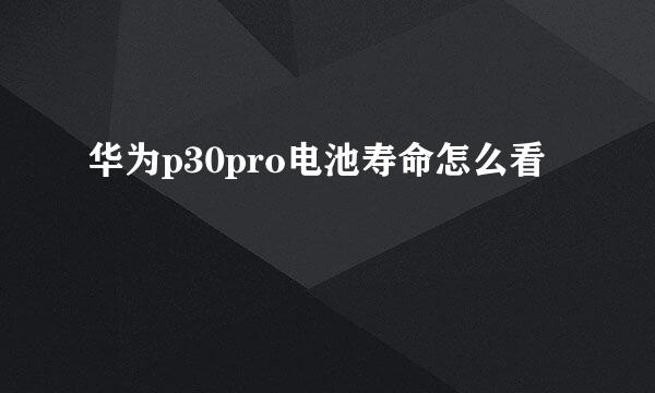 华为p30pro电池寿命怎么看