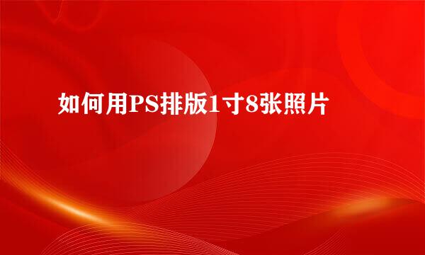 如何用PS排版1寸8张照片