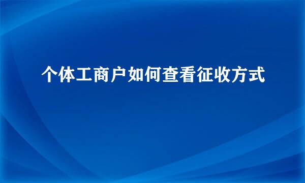个体工商户如何查看征收方式