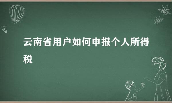 云南省用户如何申报个人所得税