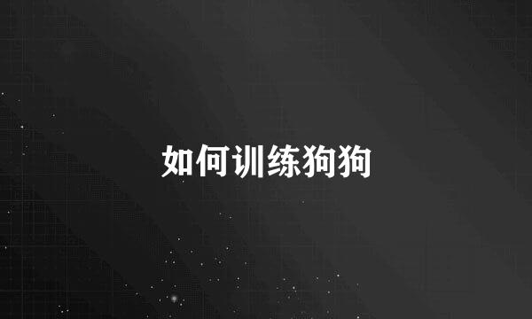如何训练狗狗
