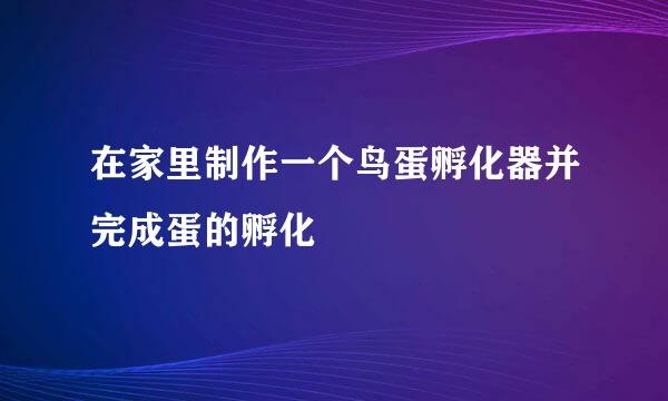 在家里制作一个鸟蛋孵化器并完成蛋的孵化