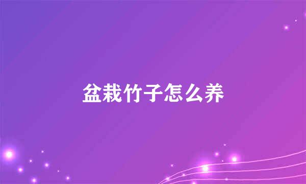 盆栽竹子怎么养