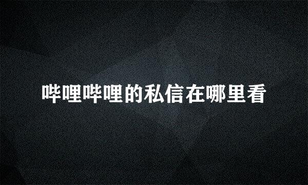 哔哩哔哩的私信在哪里看