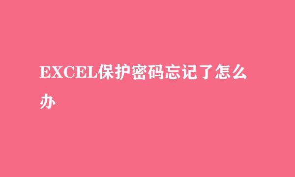 EXCEL保护密码忘记了怎么办