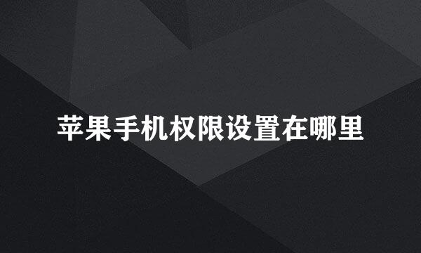 苹果手机权限设置在哪里
