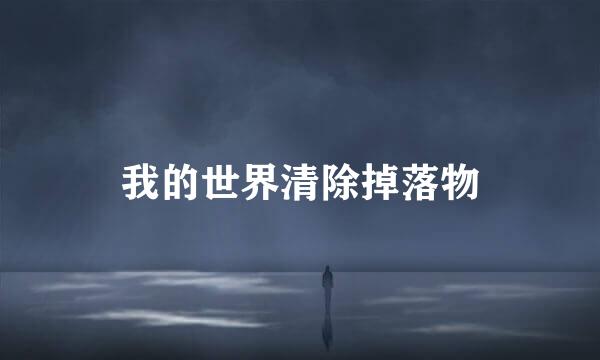 我的世界清除掉落物