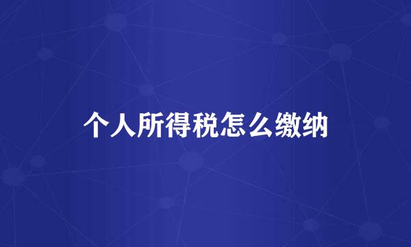 个人所得税怎么缴纳