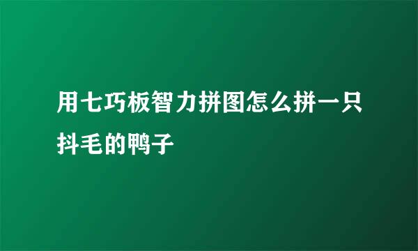 用七巧板智力拼图怎么拼一只抖毛的鸭子