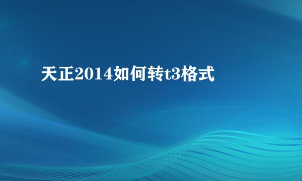 天正2014如何转t3格式