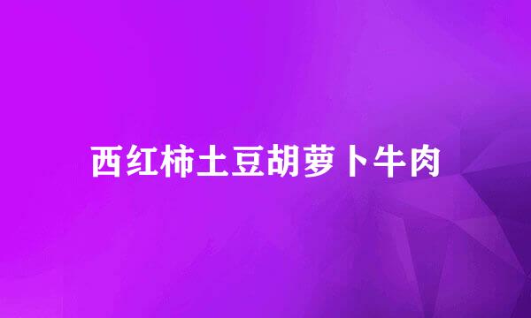 西红柿土豆胡萝卜牛肉