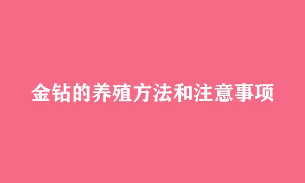 金钻的养殖方法和注意事项