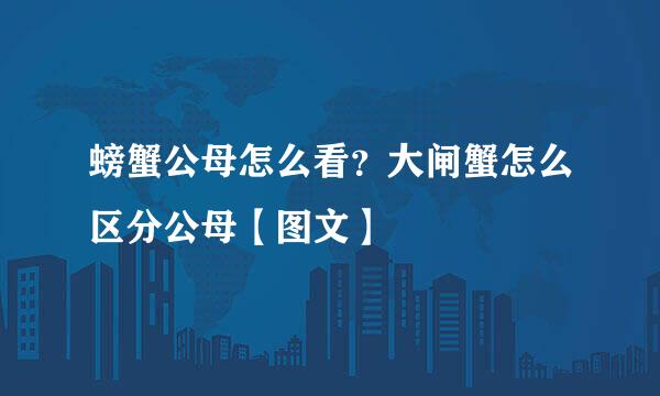 螃蟹公母怎么看？大闸蟹怎么区分公母【图文】