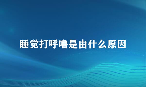 睡觉打呼噜是由什么原因