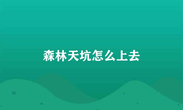 森林天坑怎么上去