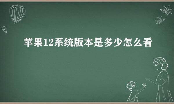 苹果12系统版本是多少怎么看