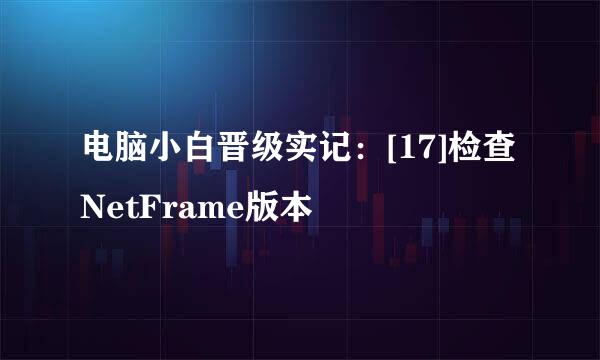 电脑小白晋级实记：[17]检查NetFrame版本