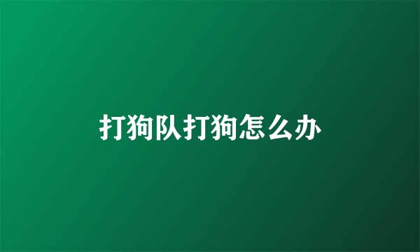 打狗队打狗怎么办