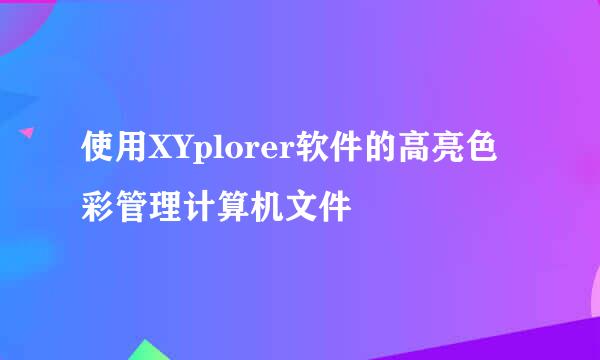使用XYplorer软件的高亮色彩管理计算机文件