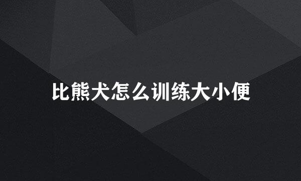 比熊犬怎么训练大小便