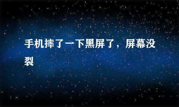 手机摔了一下黑屏了，屏幕没裂