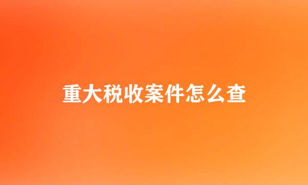 重大税收案件怎么查