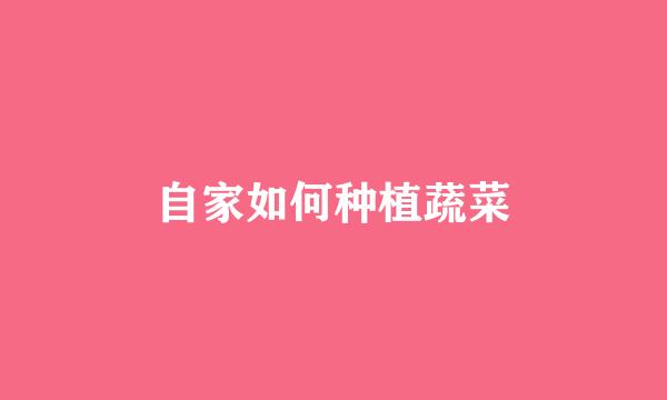 自家如何种植蔬菜