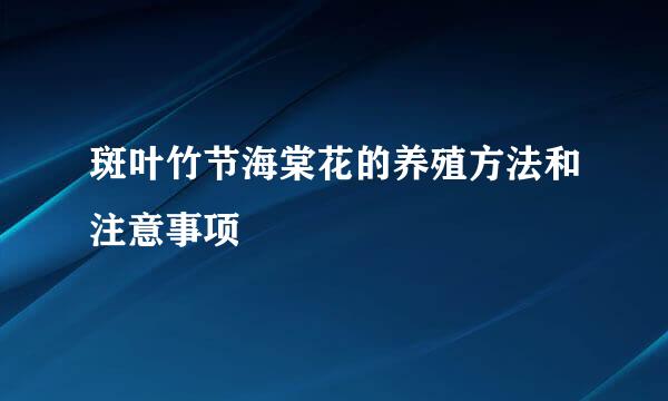 斑叶竹节海棠花的养殖方法和注意事项