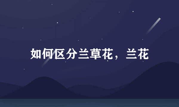 如何区分兰草花，兰花