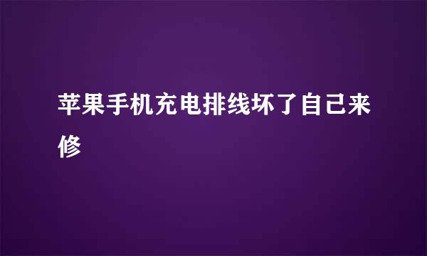 苹果手机充电排线坏了自己来修