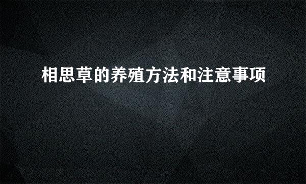 相思草的养殖方法和注意事项