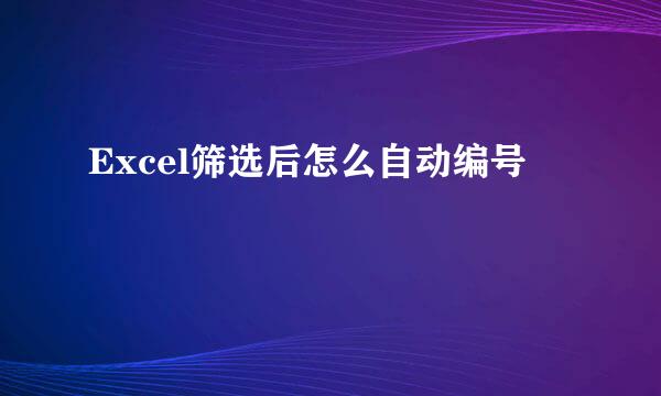 Excel筛选后怎么自动编号