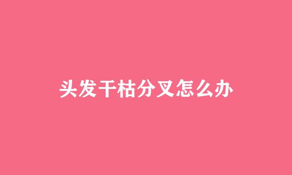 头发干枯分叉怎么办