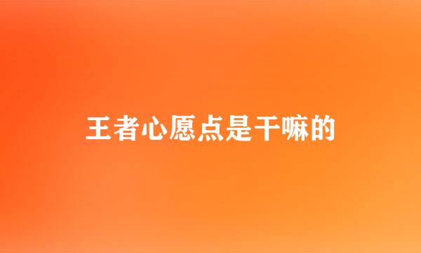 王者心愿点是干嘛的