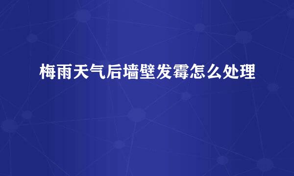 梅雨天气后墙壁发霉怎么处理