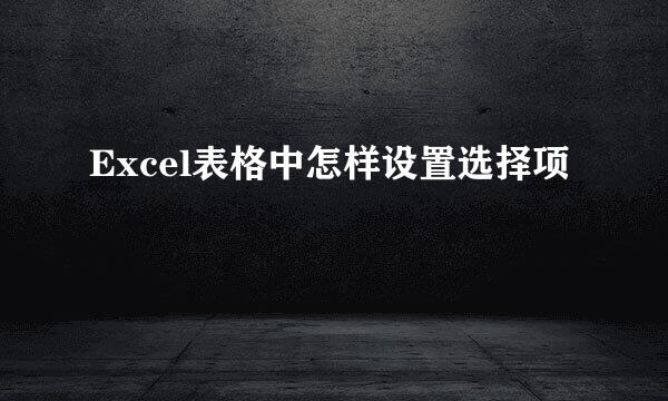 Excel表格中怎样设置选择项
