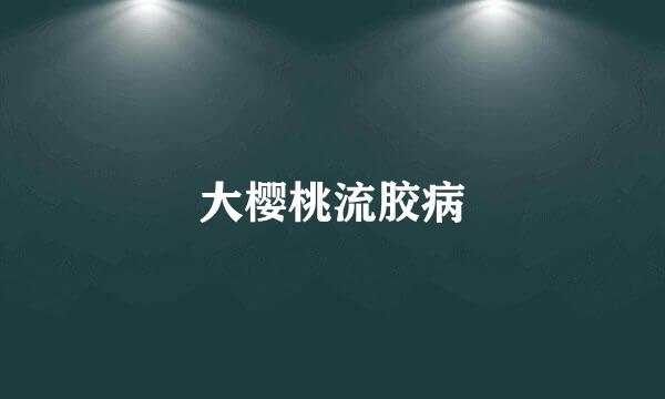 大樱桃流胶病