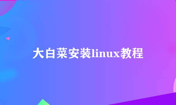 大白菜安装linux教程