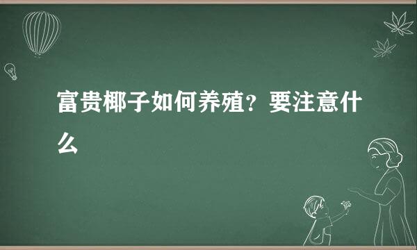 富贵椰子如何养殖？要注意什么