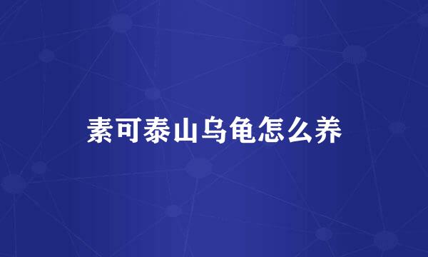 素可泰山乌龟怎么养