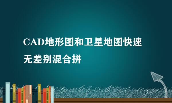 CAD地形图和卫星地图快速无差别混合拼