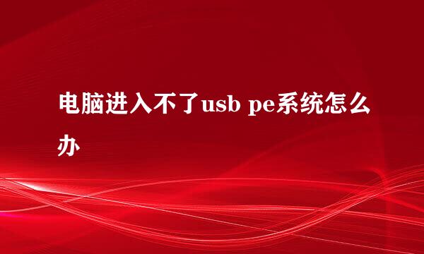 电脑进入不了usb pe系统怎么办