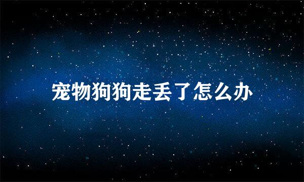 宠物狗狗走丢了怎么办