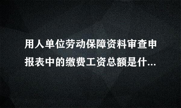 用人单位劳动保障资料审查申报表中的缴费工资总额是什么意思？？晕