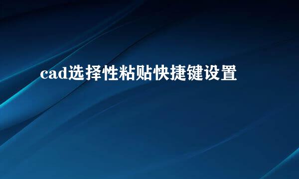 cad选择性粘贴快捷键设置