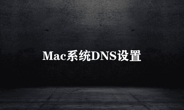 Mac系统DNS设置