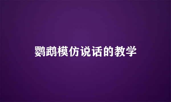 鹦鹉模仿说话的教学
